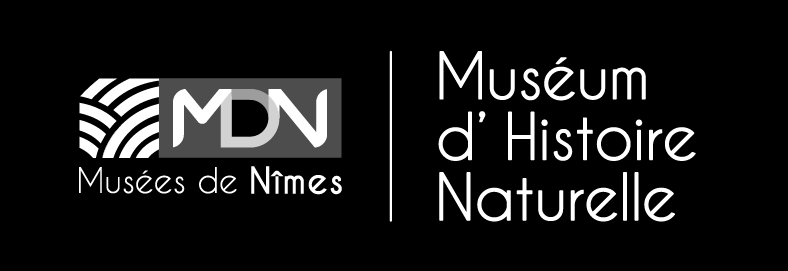 Natural History Museum of Nîmes